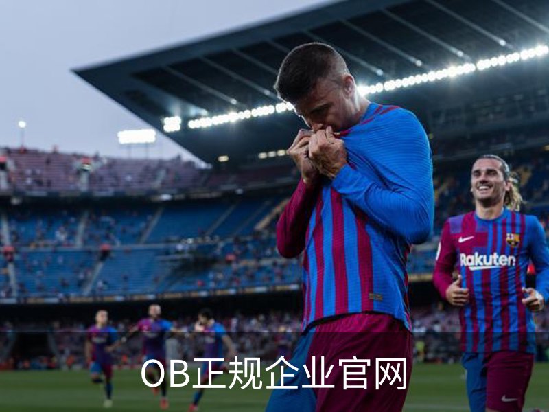 OB正规企业官网概况